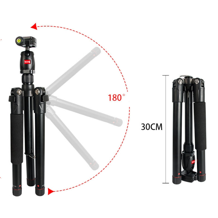 BEXIN MS12 Portable Lightweight Camera Ball Head Tripods Stand for Digital SLR DSLR camera - free shipping - PMC TechLife - Order now!