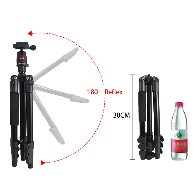 Bexin MS11 Portable Flexible Photographic Tripods for Smart Phone DSLR Slr Camera Camcorder DV - free shipping - PMC TechLife - Order now!