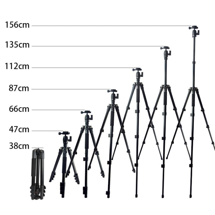 Bexin MS11 Portable Flexible Photographic Tripods for Smart Phone DSLR Slr Camera Camcorder DV - free shipping - PMC TechLife - Order now!