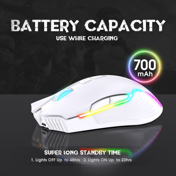 ONIKUMA CW905 2.4G RGB Lighting Wireless Mouse (Grey White) - free shipping - PMC Jewellery - Order now!