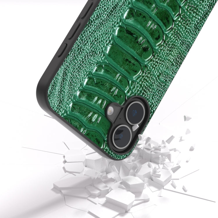 For iPhone 16 Plus ABEEL Genuine Leather Weilai Series Phone Case(Green) - iPhone 16 Plus Cases by PMC TechLife | Online Shopping South Africa | PMC TechLife | Buy Now Pay Later Mobicred