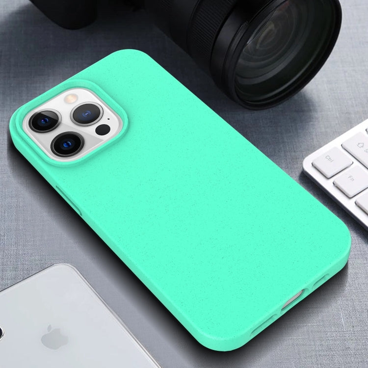 For iPhone 16 Pro Starry Series Shockproof Straw Material + TPU Protective Case(Army Green) - iPhone 16 Pro Cases by PMC TechLife | Online Shopping South Africa | PMC TechLife | Buy Now Pay Later Mobicred