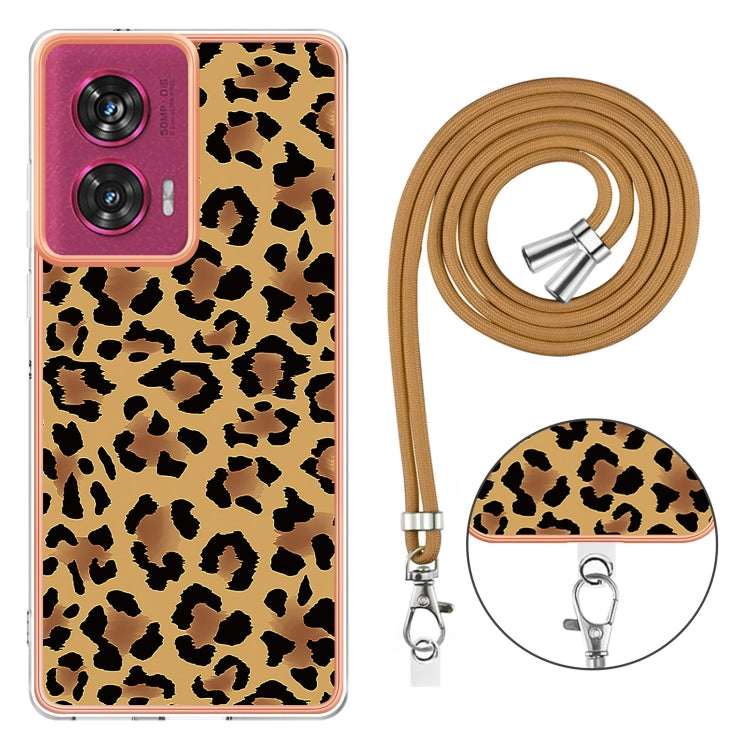 EDA005383614B_3.jpg@4d339fcb76b383aa1408f6a902664c69