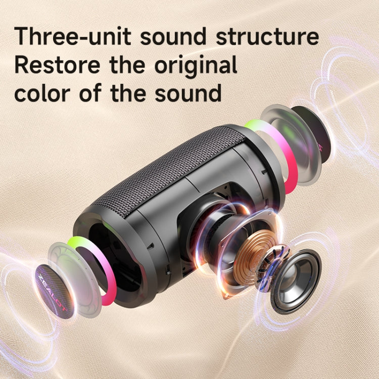 Zealot S61M RGB Rhythmic Light Karaoke Wireless Speaker, Style:Dual Mic(Black) - free shipping - PMC Jewellery - Order now!