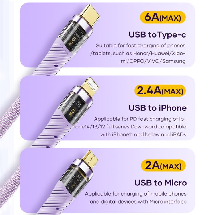 ROCK G20 1.5m 100W 3 in 1 USB-C / Type-C Fast Charging Data Cable(Black) - free shipping - PMC TechLife - Order now!