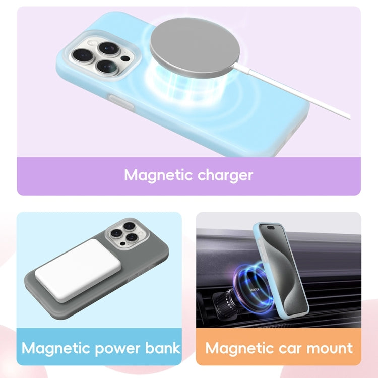 For iPhone 16 Pro Jelly Liquid Silicone MagSafe Magnetic Phone Case(Orange) - iPhone 16 Pro Cases by PMC TechLife | Online Shopping South Africa | PMC TechLife | Buy Now Pay Later Mobicred
