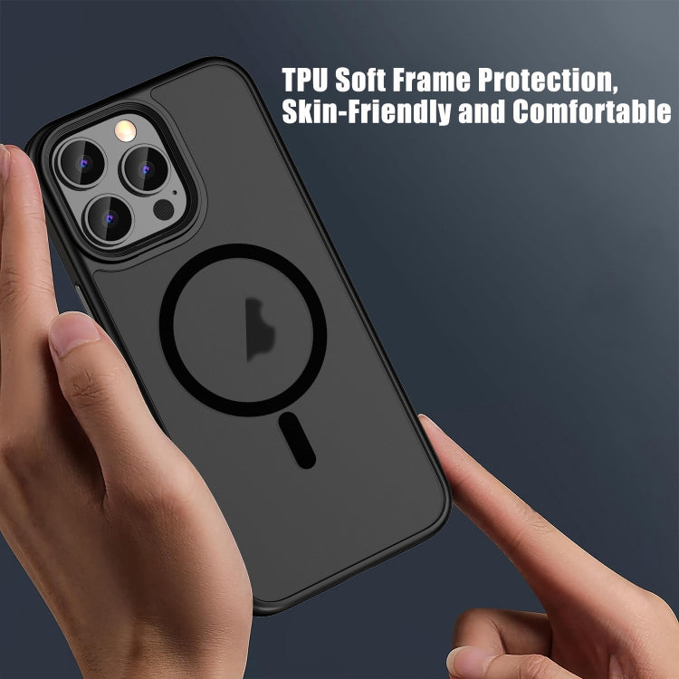 For iPhone 16 Pro Skin Feel Frosted MagSafe Magnetic Phone Case(Transparent Black) - iPhone 16 Pro Cases by PMC TechLife | Online Shopping South Africa | PMC TechLife | Buy Now Pay Later Mobicred