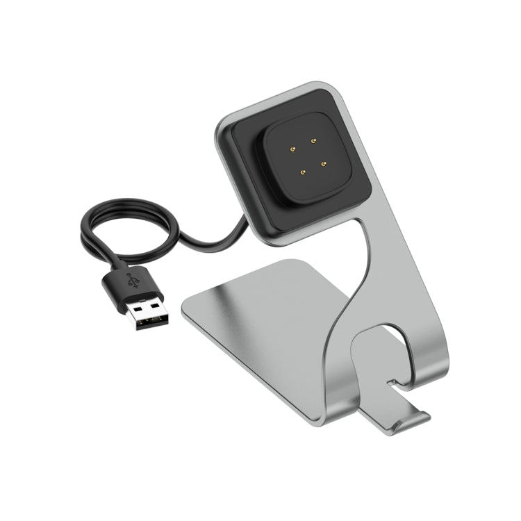 For Google Pixel Watch 3 41 / 45mm Rotatable Smart Watch Fast Charger Metal Dock Charger Holder(Grey) - Other by PMC TechLife | Online Shopping South Africa | PMC TechLife | Buy Now Pay Later Mobicred