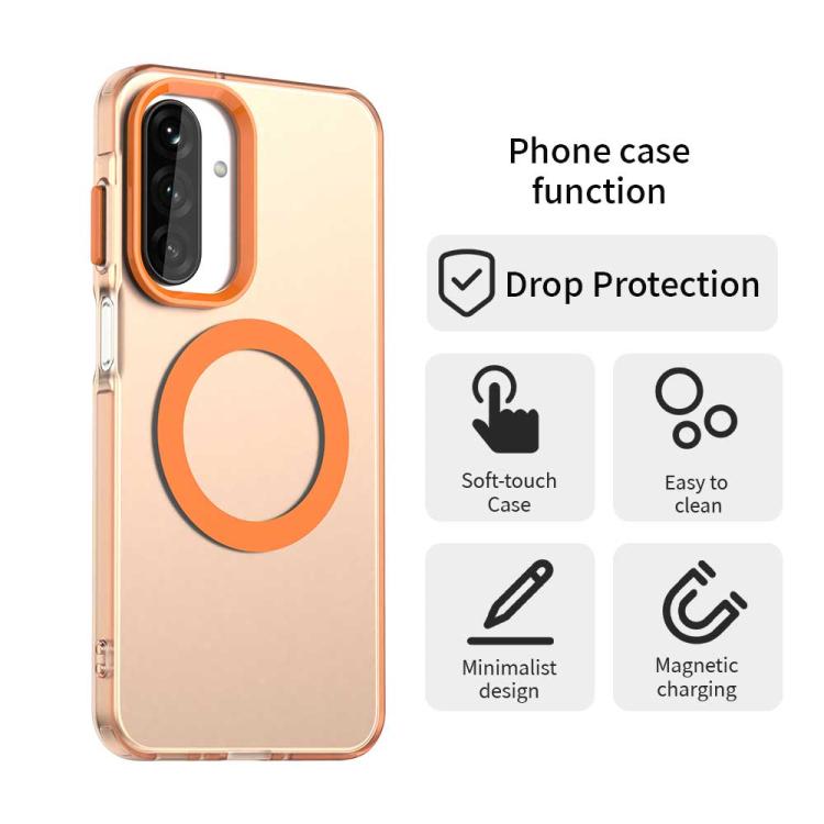 EDA007184916B_3.jpg@7a1211ecb62894281f37b56e71b4dbd2