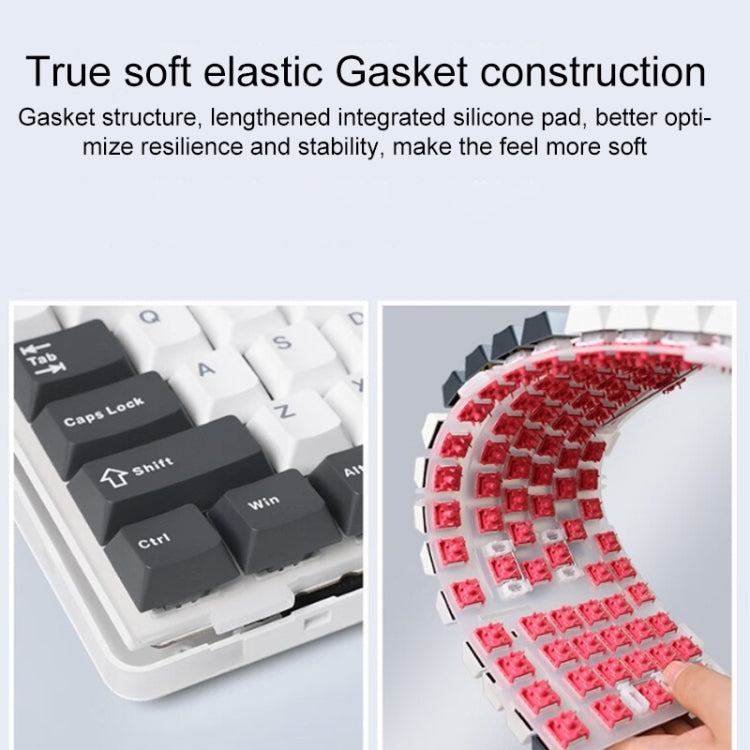 AULA F87 Pro 87 Keys Wired/2.4G/Bluetooth Three Model Customized RGB Mechanical Keyboard(Space Golden Shaft) - Wireless Keyboard by AULA | Online Shopping South Africa | PMC TechLife | Buy Now Pay Later Mobicred