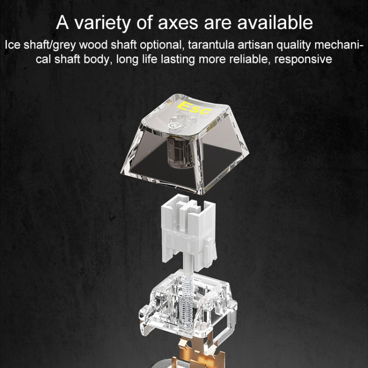 AULA F98 Pro 99 Keys Wired/2.4G/Bluetooth Three Model RGB Mechanical Keyboard, Shaft:Ice Crystal Shaft(Transparent White) - free shipping - PMC TechLife - Order now!