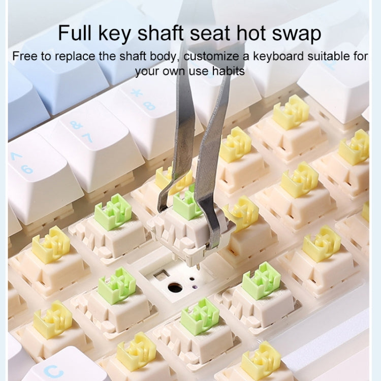 AULA F99 99 Keys Wired/2.4G/Bluetooth Three Model Customized RGB Mechanical Keyboard(Starfall Clouds) - free shipping - PMC TechLife - Order now!