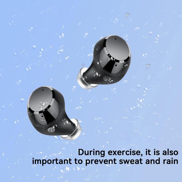 EDA007688601A_9.jpg@65da9925dbc0e81a711390d40a89d7e2