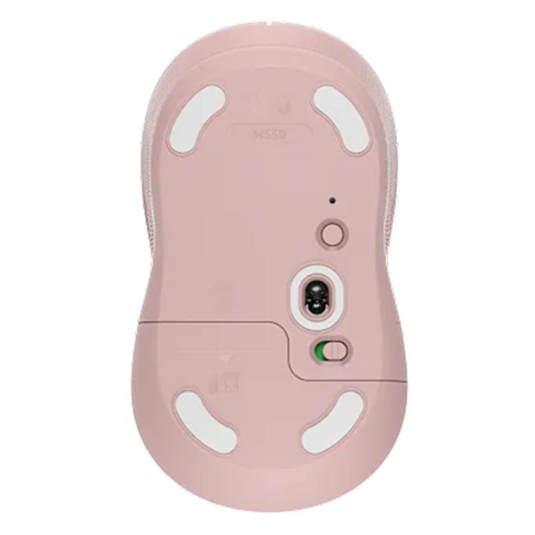 EDA007884601A_1.jpg@623cf2ae34348cf23b66ba99ebef5a92