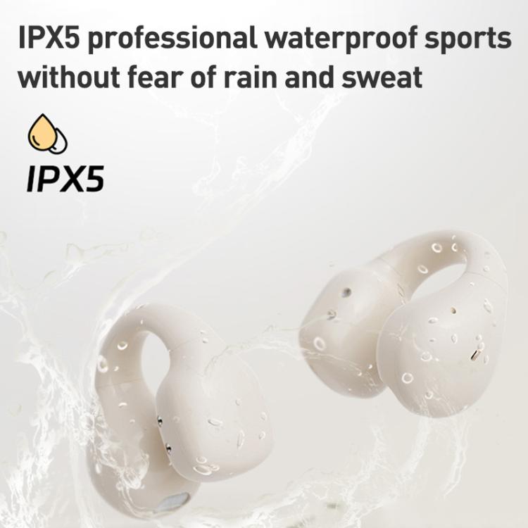 EDA0079970_B8.jpg@0f1543b1400bf361fb19c42cd30d73e0