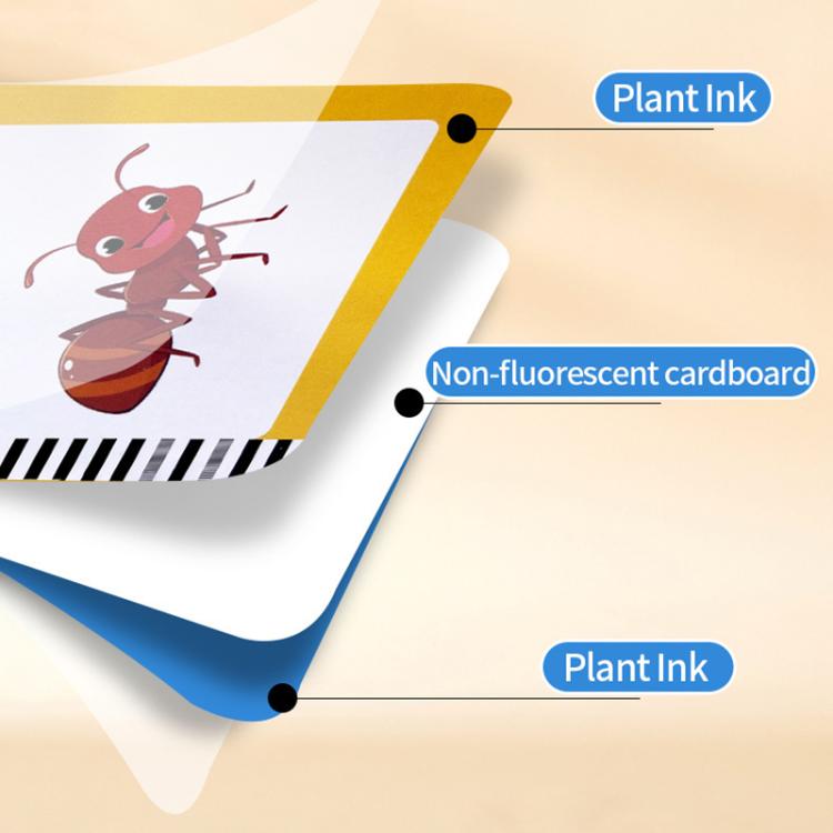 EDA0080065_B7.jpg@c1c237f4c83c0dcdebcfdcde6b05ced7