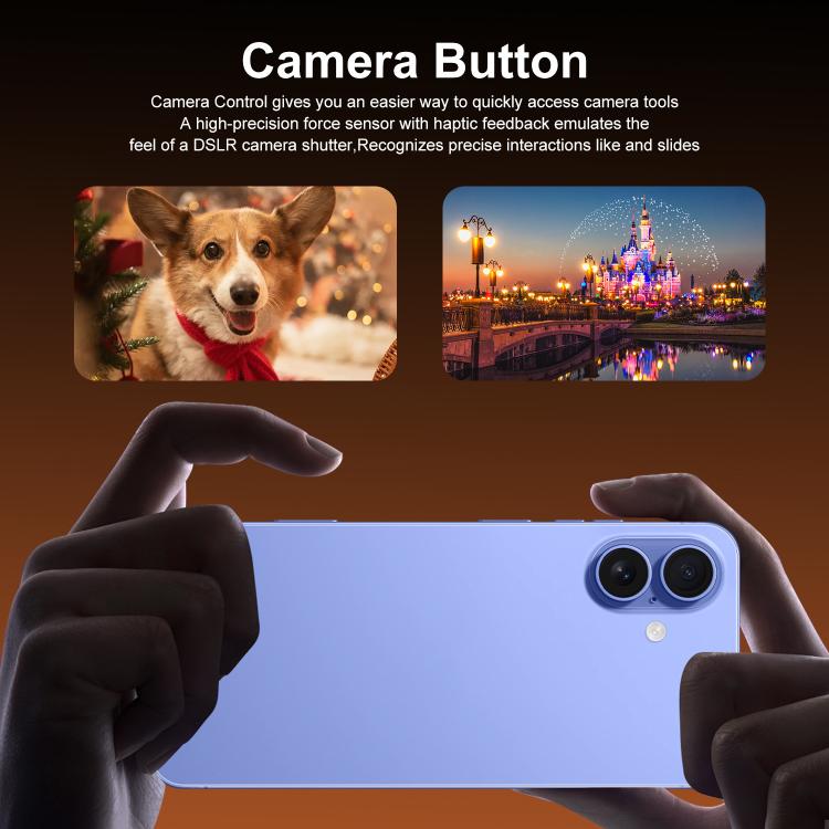 EDA0080149_B16.jpg@64e858bb5f44df096f76c35e4028b550