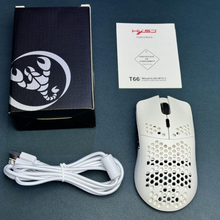 EDA008138701_B13.jpg@dba92f9909f8eb8a71520d06c7208f91