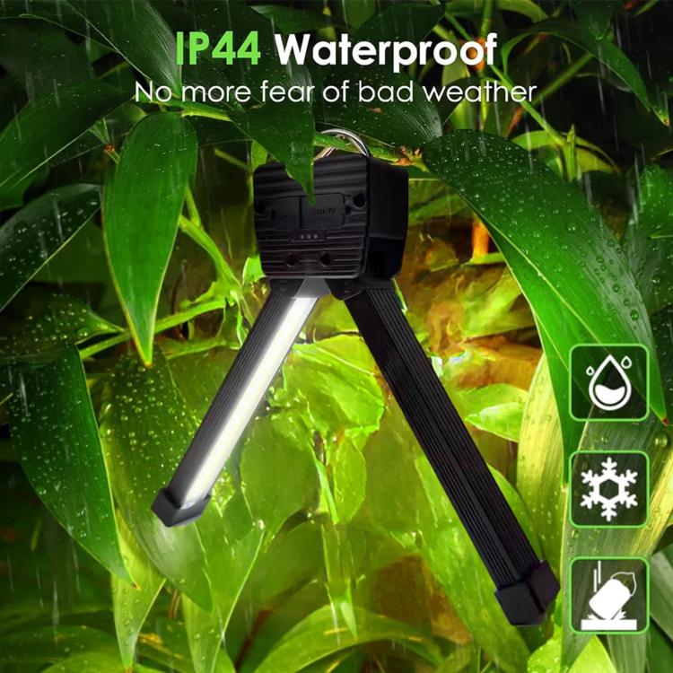 EDA008260301A_11.jpg@591582b499d8145955e08f6c37be0e37