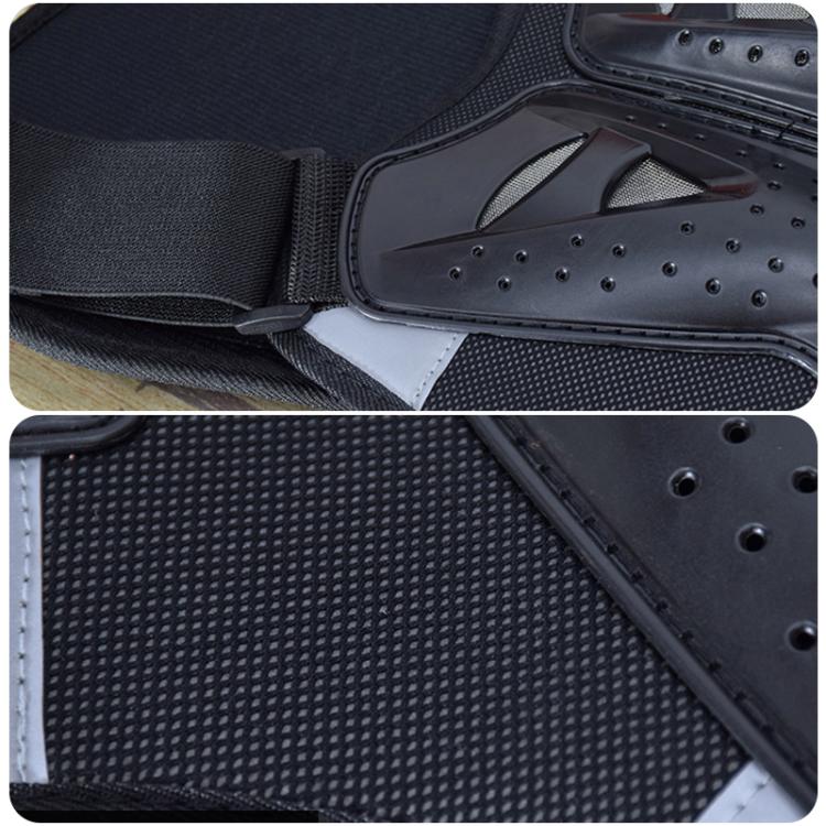 EDA0083014_B8.jpg@c8226267d51576d7a92dd71103db6f0d