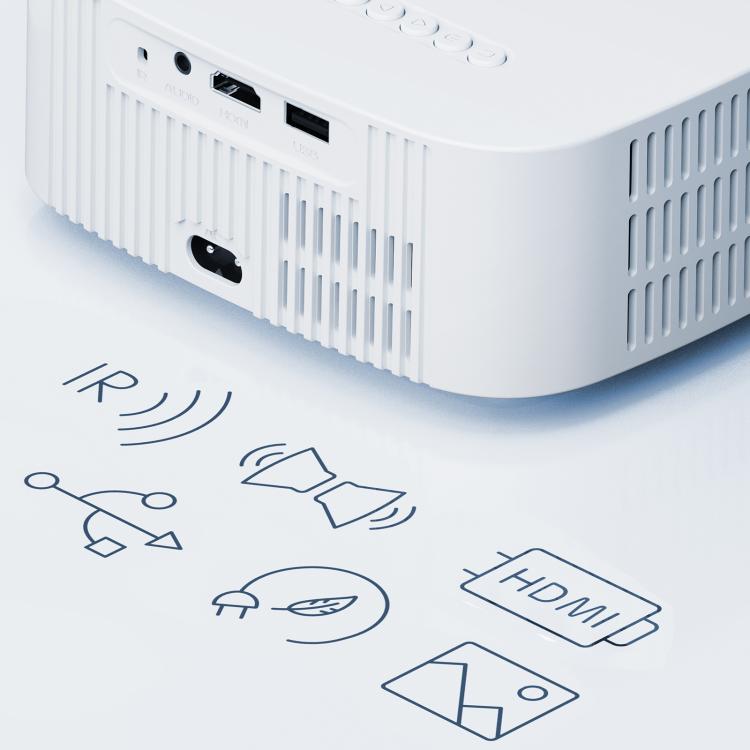 EDA0083326_B7.jpg@1688b17d1111eab062d01442be7290f3