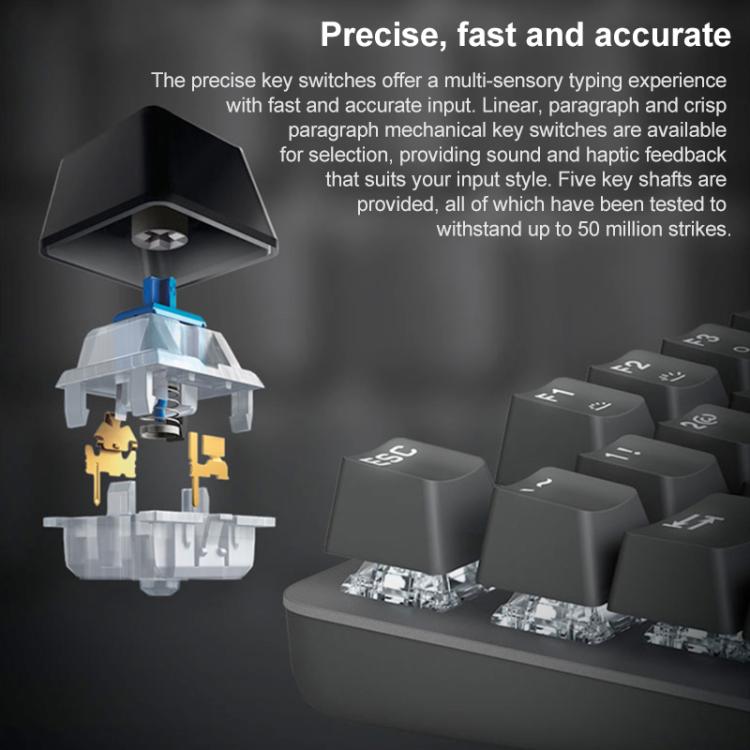 EDA0084564_B12.jpg@35e09cfc72ae8311987100bf0c5b71d5