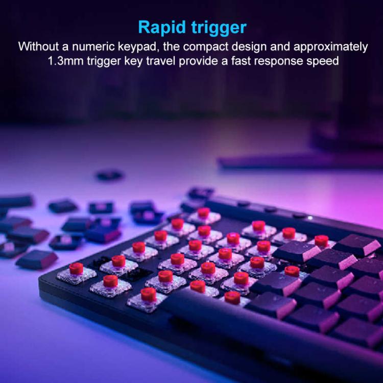 EDA0084579_B2.jpg@b65f187d790eeda88564cbeaa61a5d0e