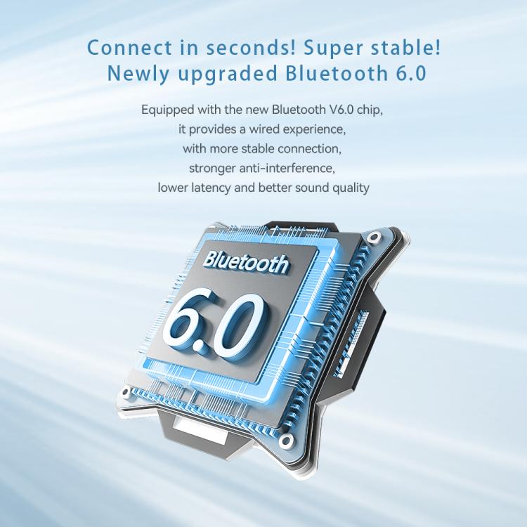 EDA0085951_B12.jpg@21d786264a492e8477fa3152a5bcaed3