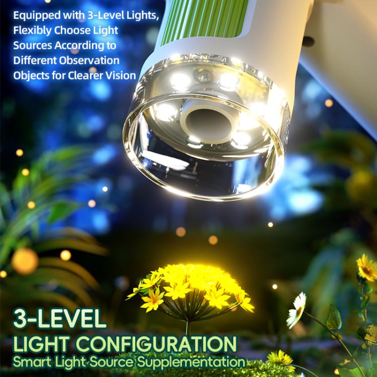 EDA008620801B_7.jpg@827cc495b9aeb309eca1e9674ee34e39