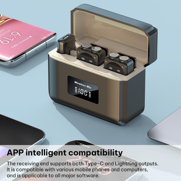 EDA008859801_13.jpg@30542f9f3dec23c303e512d3f9da6a07