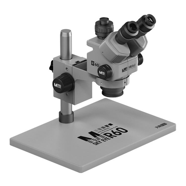 EDA008997601D.jpg@766e5ccd1b99e3a1a4d6705f5f5b1581