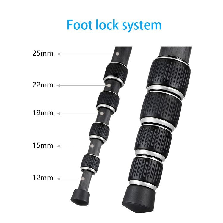 BEXIN BX255C K30 Portable Carbon Fiber Tripod for Camera Dslr - free shipping - PMC TechLife - Order now!