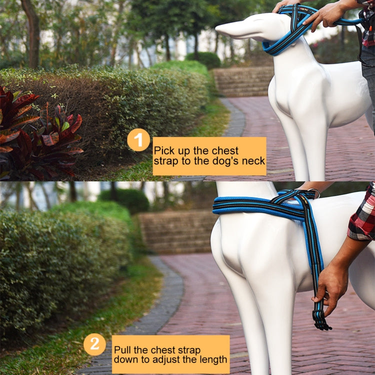 HC8050E_3.jpg@73dbe26d27cefd8f50edbd5ef7773a3b