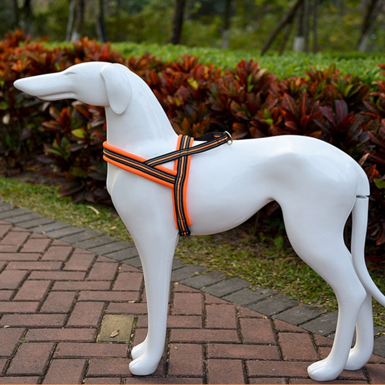 HC8050E_6.jpg@be5d85e1aca95275542fa6142c338686