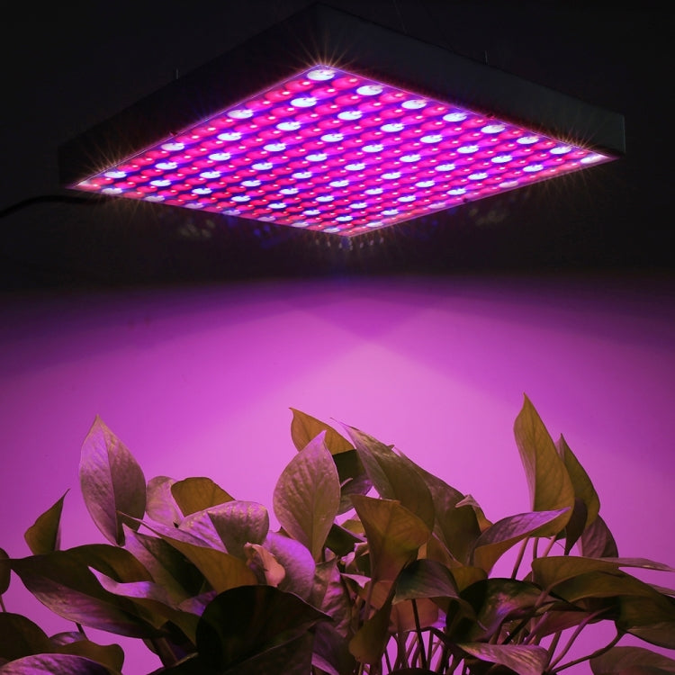 45W SMD 2835 Red + Blue Light LED Plant Growth Light, 225 LEDs Greenhouse Light Aquarium Light, AC 85-265V - LED Grow Lights by PMc TechLife | Online Shopping South Africa | PMc TechLife | Buy Now Pay Later Mobicred