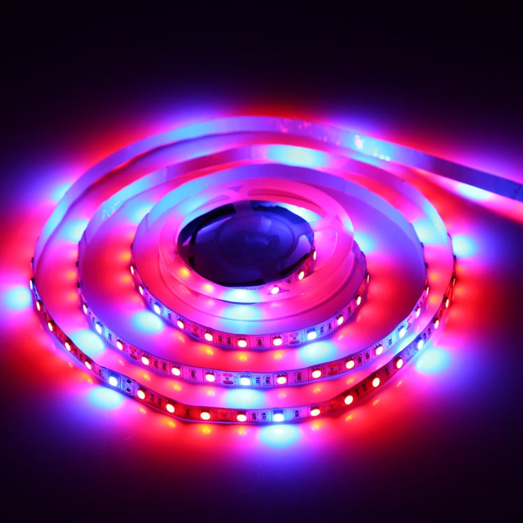 4:1 2m Bare Board 5050 SMD RGB LED Rope Light, 12V 2A 100-240V (US Plug) - free shipping - PMC TechLife - Order now!