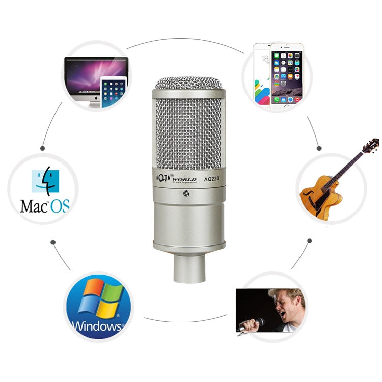AQ-220 K Song Live Recording Noise Reduction Capacitor Microphone - Microphone by PMC TechLife | Online Shopping South Africa | PMC TechLife | Buy Now Pay Later Mobicred