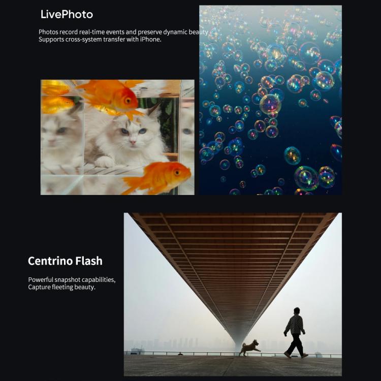 Realme Neo7, 12GB+256GB, 6.78 inch Android 15 / Realme UI 6.0 MediaTek Dimensity 9300+ Octa Core, NFC, Network: 5G, Support Google Play (Blue) - free shipping - PMc TechLife - Order now!