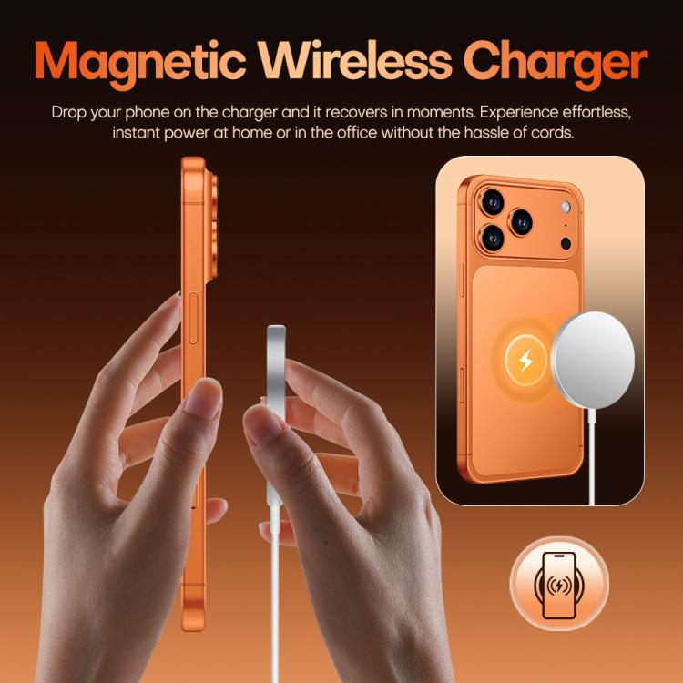 MPH4493_B12.jpg@9aa9185a48798475b5a6bfbe37f355a1