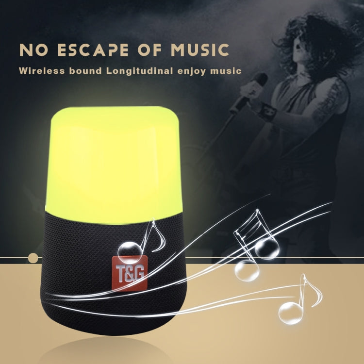 T&G TG168 Portable Wireless Bluetooth V5.0 Stereo Speaker with Handle, Built-in MIC, Support Flashing LED Light & TF Card & U Disk & AUX IN & FM(Cyan) - free shipping - PMC TechLife - Order now!