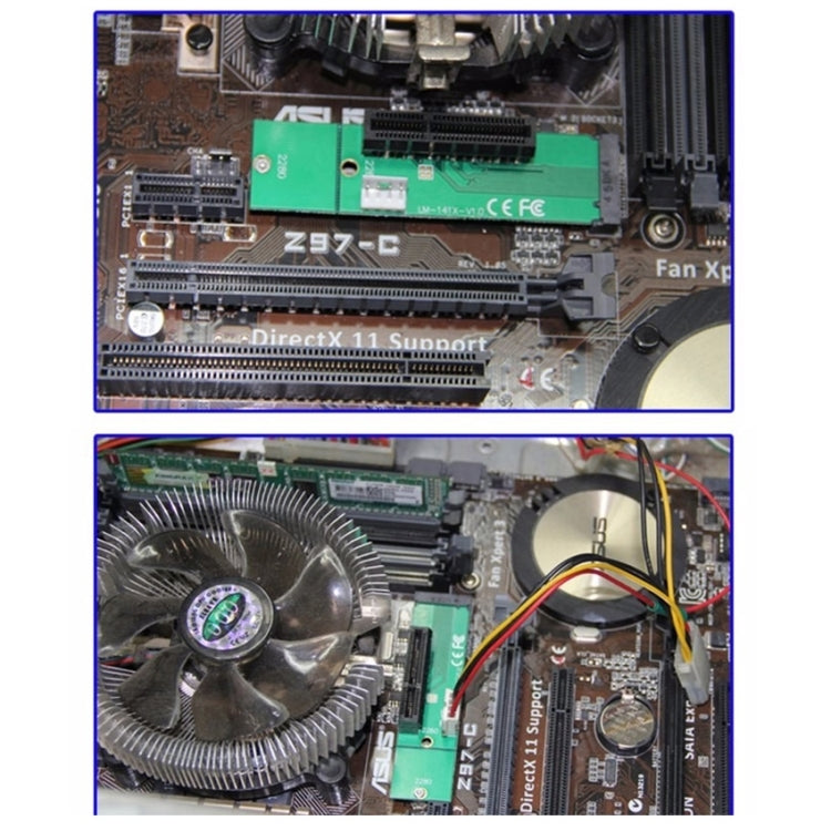 PC5475_5.jpg@d002acb8c1b66acd596658e09d2c59b9