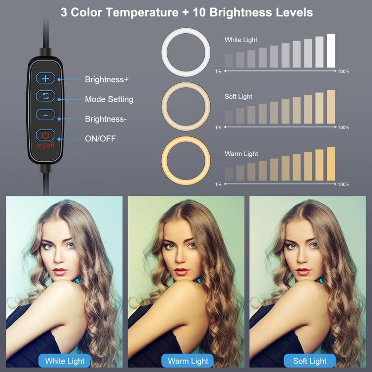 PULUZ 6.2 inch 16cm USB 3 Modes Dimmable LED Ring Vlogging Photography Video Lights + Desktop Tripod Holder with Cold Shoe Tripod Ball Head - Ring Light by PULUZ | Online Shopping South Africa | PMC TechLife | Buy Now Pay Later Mobicred