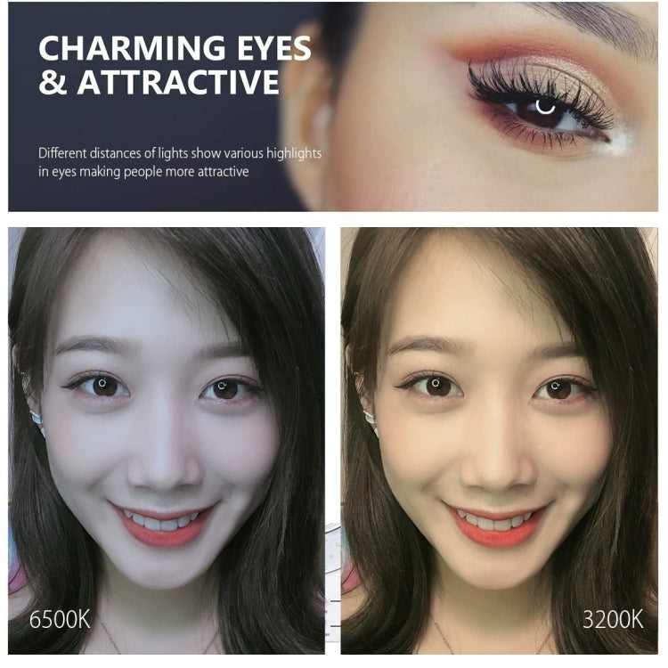 PULUZ 6.2 inch 16cm USB 3 Modes Dimmable LED Ring Vlogging Photography Video Lights + Desktop Tripod Holder with Cold Shoe Tripod Ball Head - Ring Light by PULUZ | Online Shopping South Africa | PMC TechLife | Buy Now Pay Later Mobicred