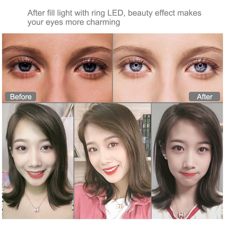 PULUZ 4.7 inch 12cm Curved Surface Ring Light + Round Base Desktop Mount USB 10 Modes 8 Colors RGBW Dimmable LED Ring Selfie Beauty Vlogging Photography Video Lights with Cold Shoe Tripod Ball Head(Black) - free shipping - PMC Jewellery - Order now!