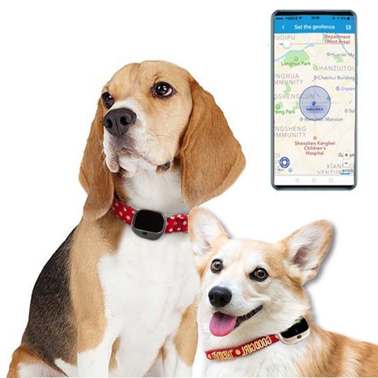 RF-V43 B Style IP67 Waterproof GPS + LBS + WiFi Pet Locator Pet Collar Tracking Device For North America/South America(Black) - Pet Tracker by PMC TechLife | Online Shopping South Africa | PMC TechLife | Buy Now Pay Later Mobicred