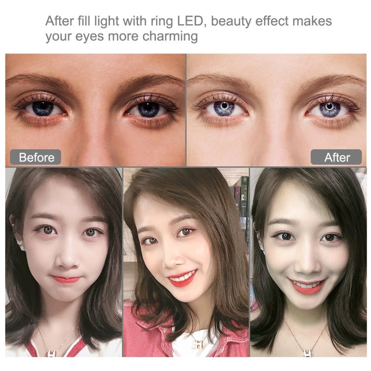 PULUZ 7.9 inch 20cm USB RGB Dimmable LED Dual Color Temperature LED Curved Light Ring Vlogging Selfie Photography Video Lights with Phone Clamp(Black) - free shipping - PMC Jewellery - Order now!