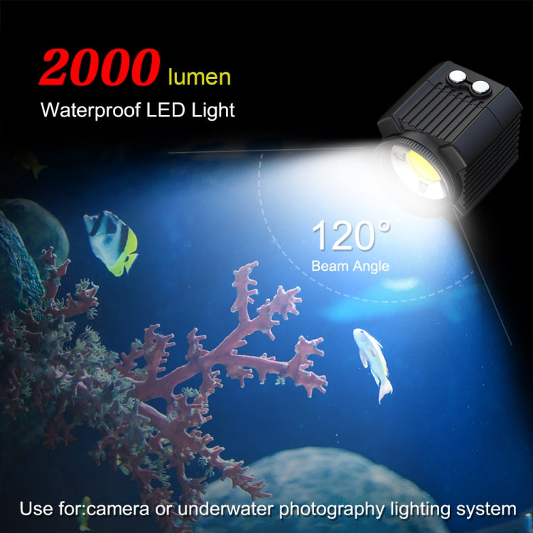 PULUZ 60m Underwater LED Photography Fill Light 7.4V/1100mAh Diving Light for GoPro, Insta360, DJI and Other Action Cameras(Black) - free shipping - PMC TechLife - Order now!