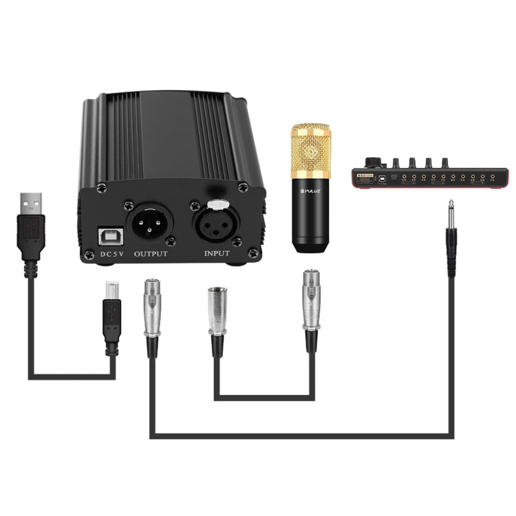 PULUZ Condenser Microphone Studio Broadcast Professional Singing Microphone Kits with Suspension Scissor Arm & Metal Shock Mount & USB Sound Card, Power By 48V(Gold) - Microphone by PULUZ | Online Shopping South Africa | PMC TechLife | Buy Now Pay Later Mobicred