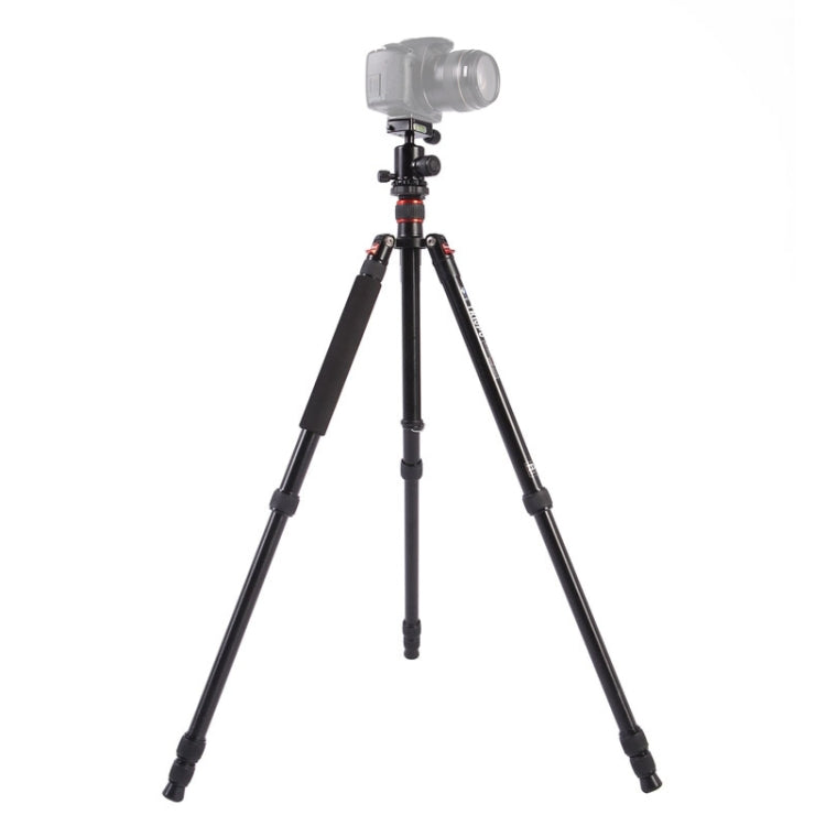 Triopo MT-2504C Adjustable Portable Aluminum Tripod with NB-1S Ball Head for Canon Nikon Sony DSLR Camera(Black) - free shipping - PMC TechLife - Order now!