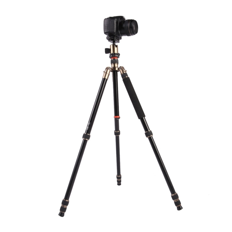 Triopo MT-2504C Adjustable Portable Aluminum Tripod with NB-1S Ball Head for Canon Nikon Sony DSLR Camera(Black) - free shipping - PMC TechLife - Order now!